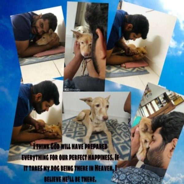 A Instagram post shared by Hardeek about his pet dog Snoopy