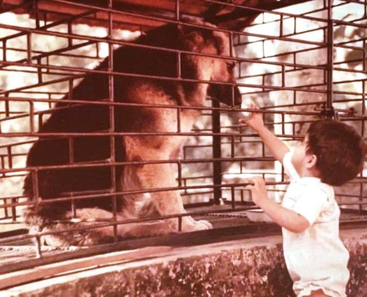 A childhood photo of Philips with his pet German Shepherd Tiger