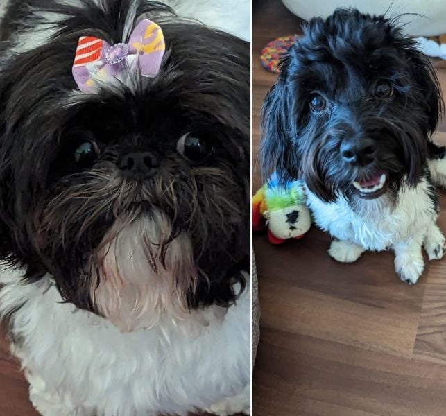 A photo of Glenn Jacobs