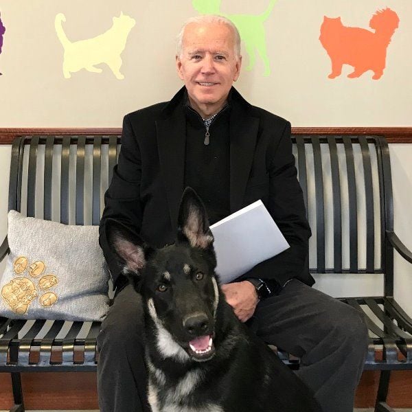 A photo of Joe Biden with his pet German Shepherd Major