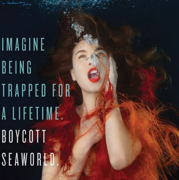 A photo of Rainey Qualley for her protest against the amusement park SeaWorld (2022)