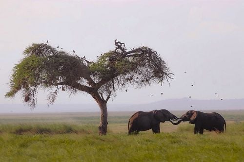 A picture clicked by Dr Kumar B.G