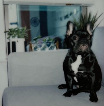 A picture of Drew Hicks