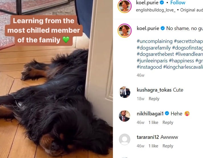 A picture Instagrammed by Koel Purie about her pet dog