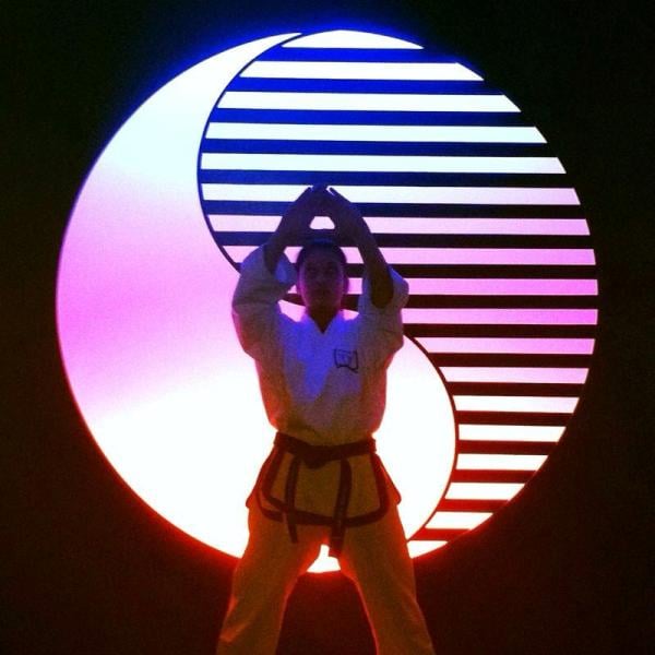 A picture of Roya Faryabi doing martial arts