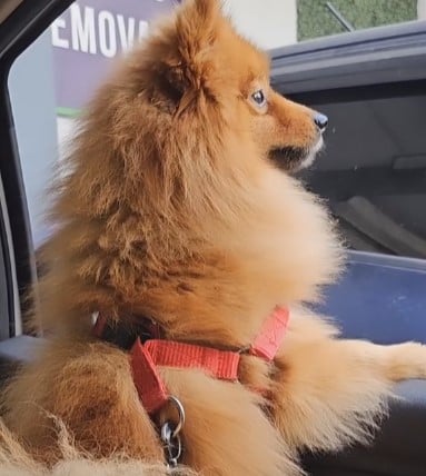 A picture of Shekar Basha