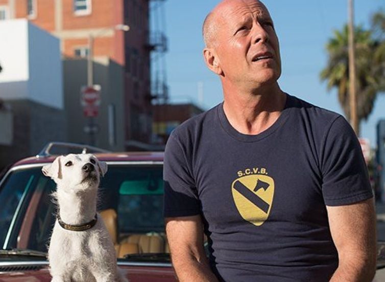 A picture showing Bruce