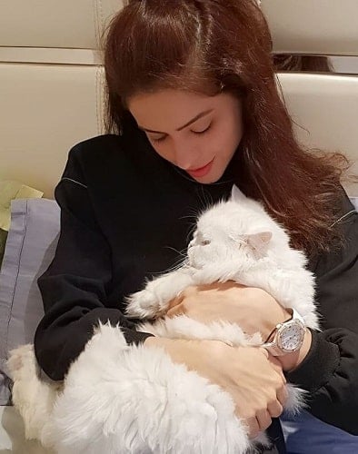 Aamna Sharif with her pet cat