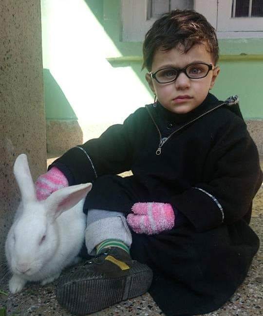 Ahmad Ibn Umar playing with a bunny