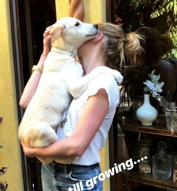 Amber Heard with a dog