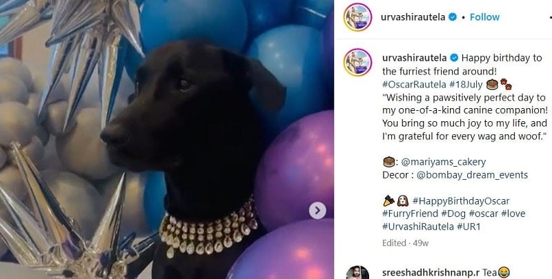 An Instagram post about Urvashi Rautela