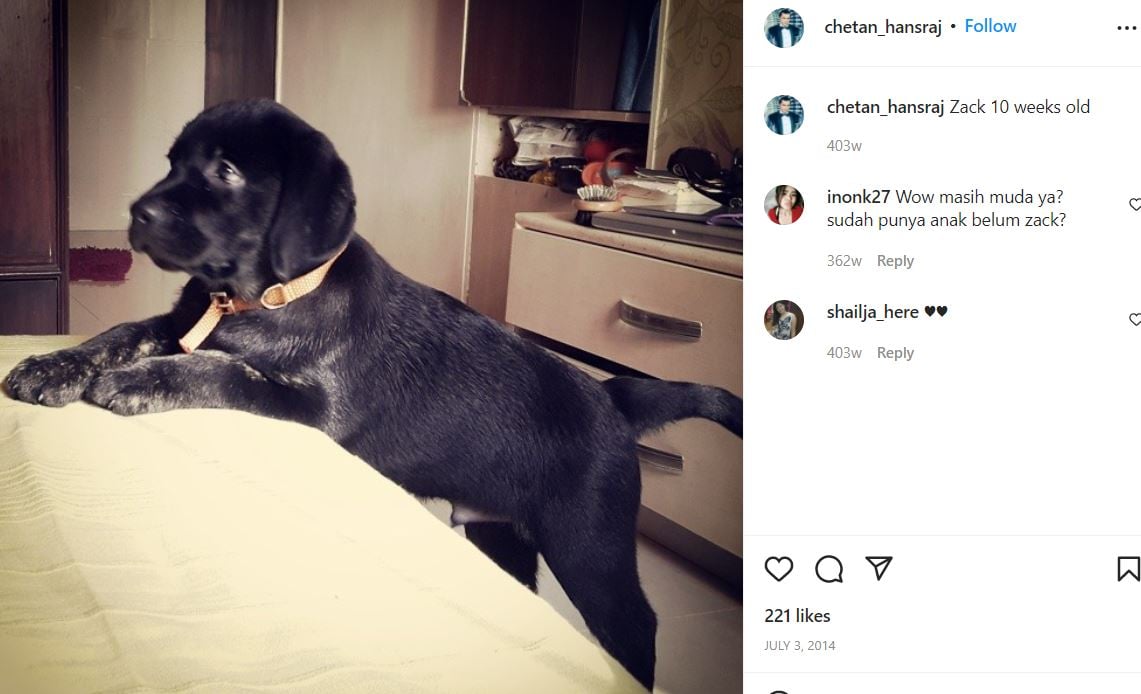 An Instagram post of Chetan Hansraj about his dog