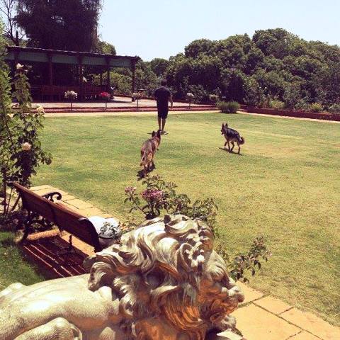 Anand Piramal, A Dog Lover