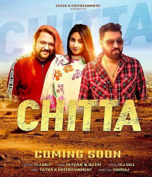 Anicka on the cover art of Chitta song