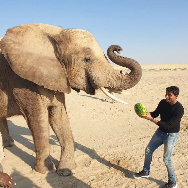 Ankur Jain while playing with an elephant in Dubai