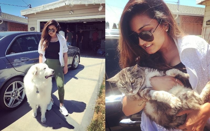 Anmol Gagan Maan loves animals