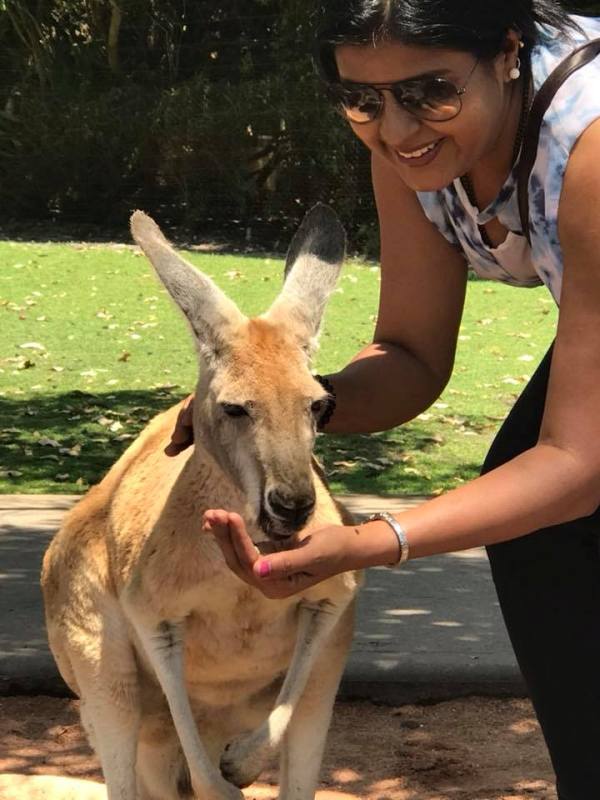 Aparna Vastarey while feeding a kangaroo