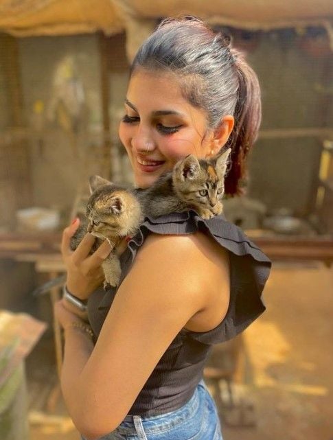 Apoorva S Rao with cats