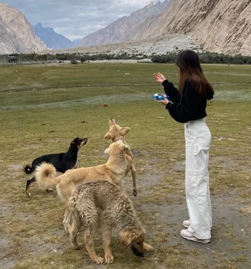 Aviva Baig with some stray dogs