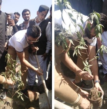 Azhar Ali while planting a sapling