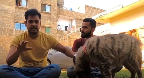 Azlan Shah with his pet hyena