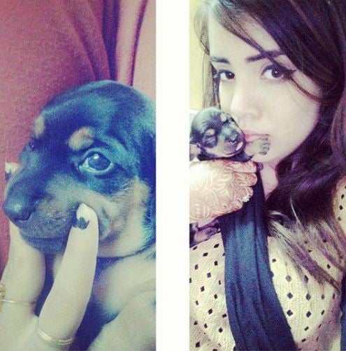 Azma Fallah with her pet