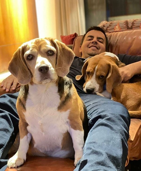 Bhavish Aggarwal posing with his pet dogs