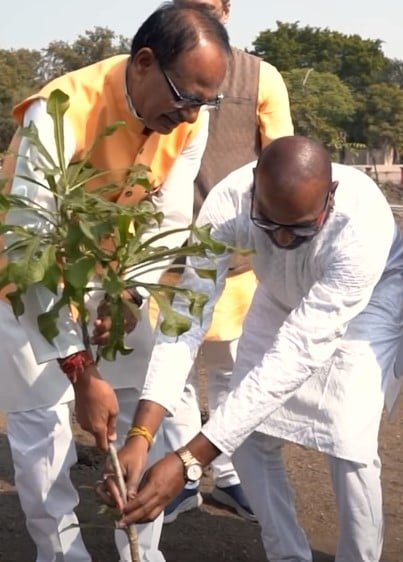 Bhupendra Jogi while planting a tree with Shivraj Singh Chauhan