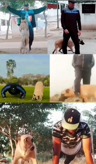 Branded Fouji while training his dog in the Indian Army