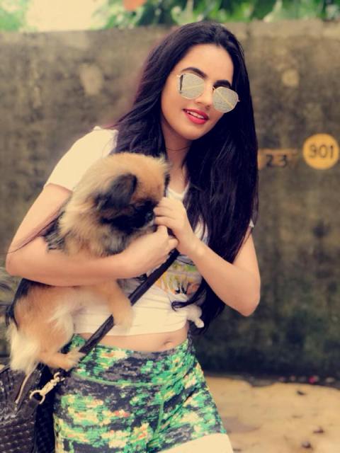 Brown Gal loves dogs