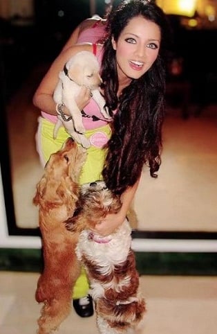 Celina Jaitly playing with dogs