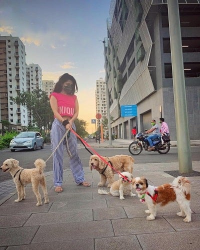 Charlie Chauhan with dogs
