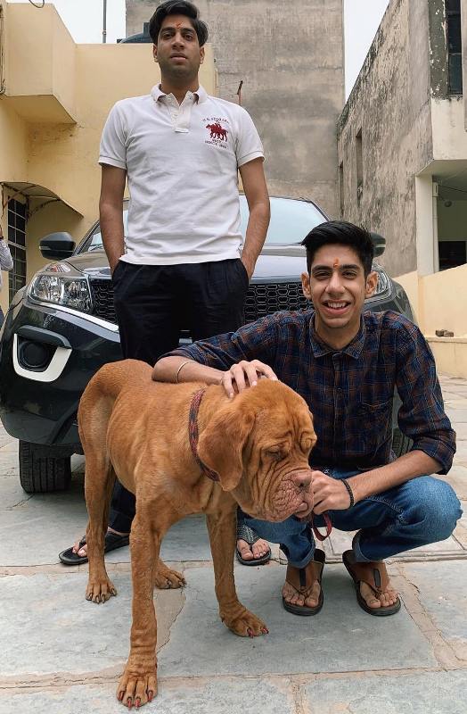 Chetan Carpenter Dhawan