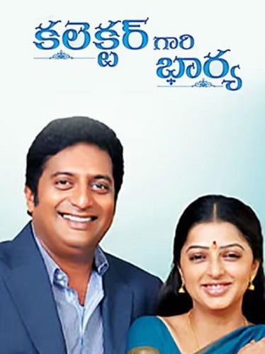 Collector Gari Bharya