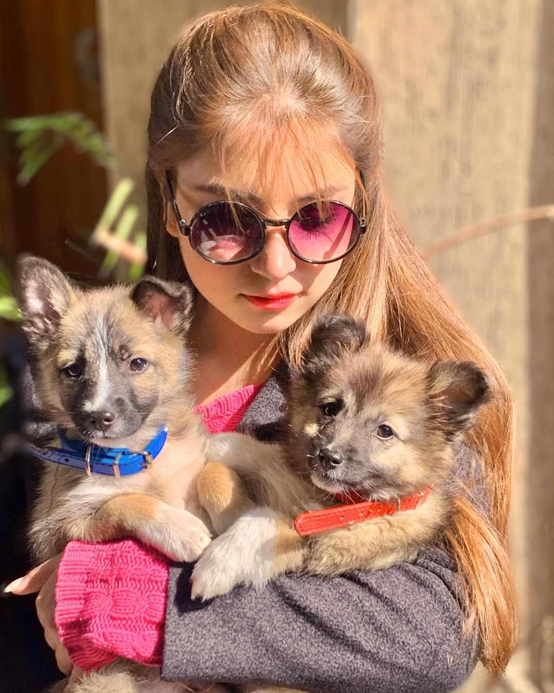 Dananeer Mobeen with her pet dogs