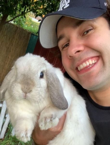 David Dobrik with his pet rabbit Bailey