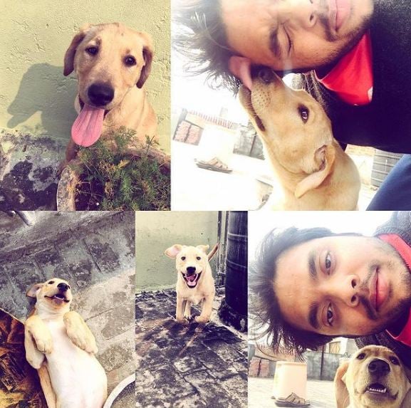 Deepanshu Singh posing with a dog