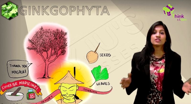 Divya Gokulnath In A Subject Video