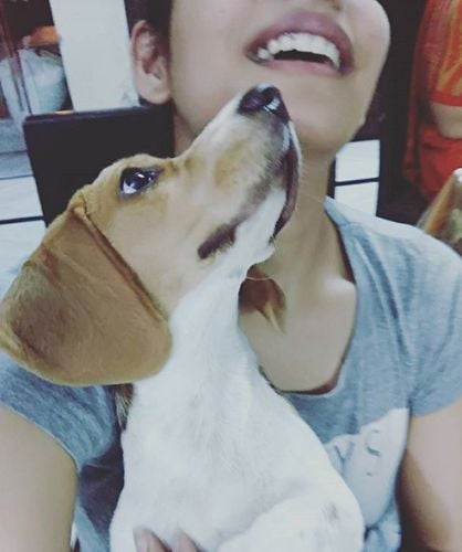 Doctor Hannah- Dog Lover