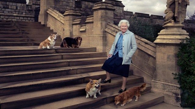 Elizabeth with Corgis and Dorgis