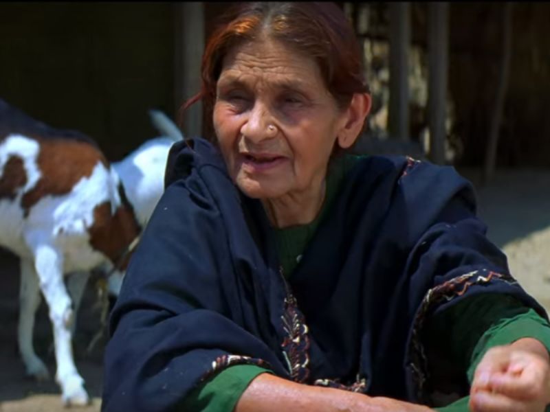 Farrukh Jaffar in Swades