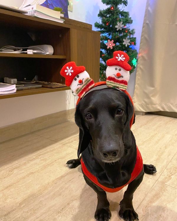 A photo of Gayatri Bhardwaj