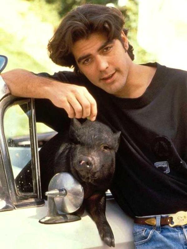 George Clooney with his pet Max