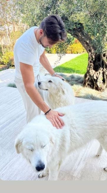 Georgi Trifonov petting dogs