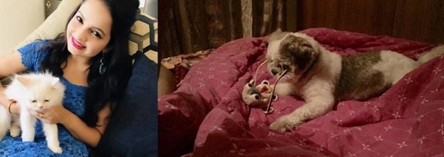 Giaa Manek And Her Pets