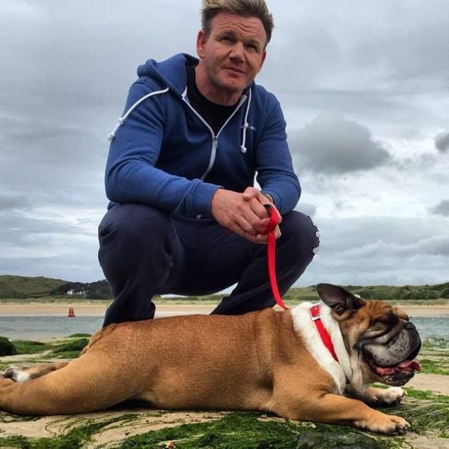 Gordon Ramsay with his dog Rumpole