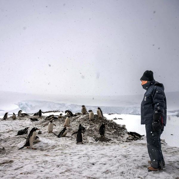Guterres standing next to a flock of Penguins in Antarctica