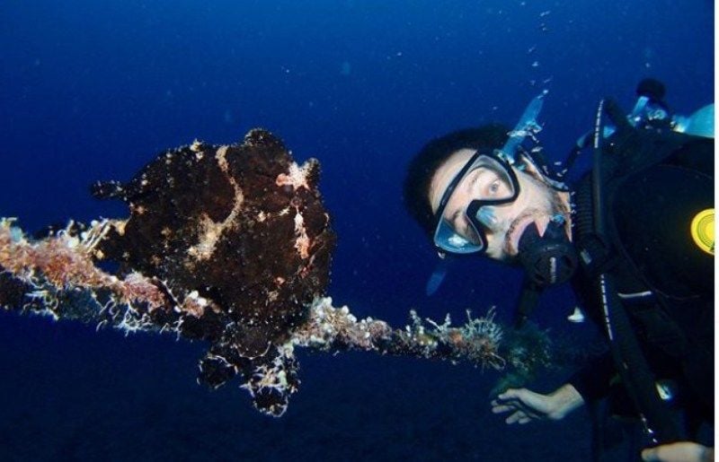 Guy Hershberg Scuba Diving