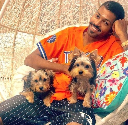 Hardik Pandya loves dogs