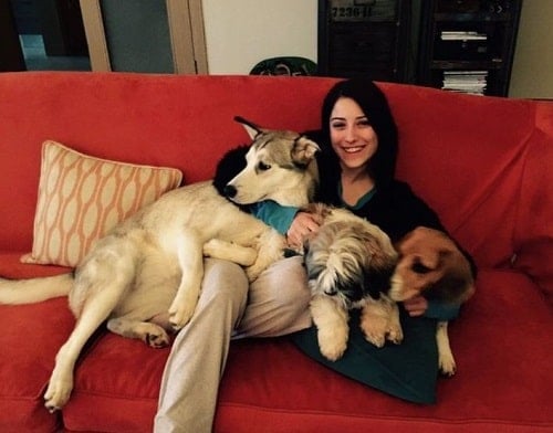 Hazal Kaya with her pet dogs